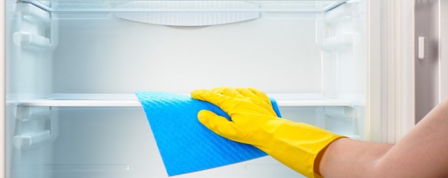 Sub-Zero Fridge Cleaning Maintenance Tips