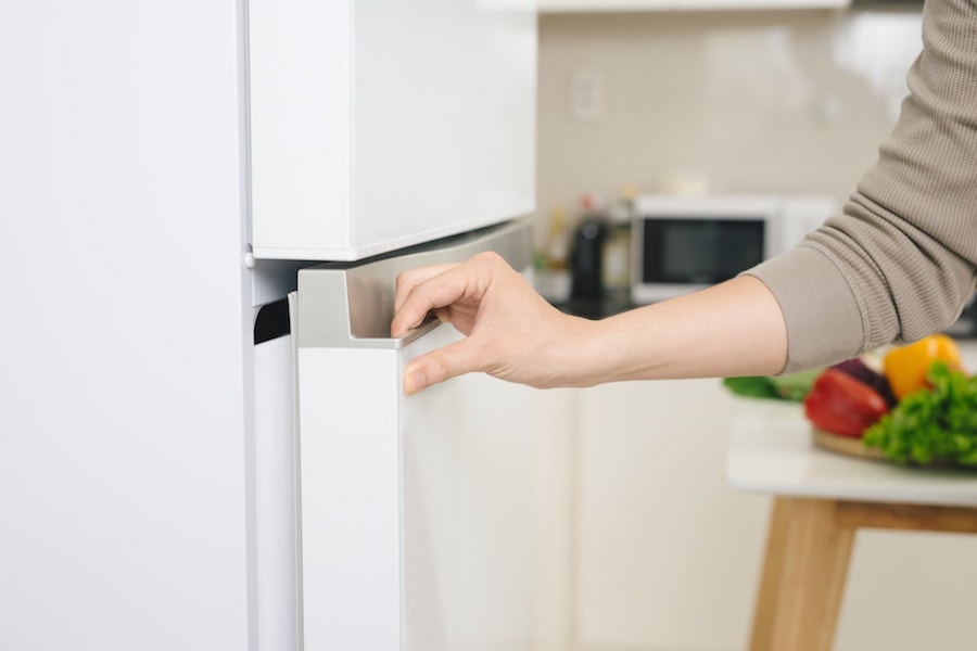 Sub Zero refrigerator Troubleshooting close door
